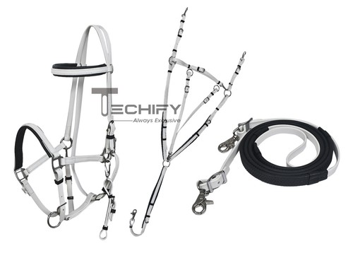 Set pettorina briglia supporto