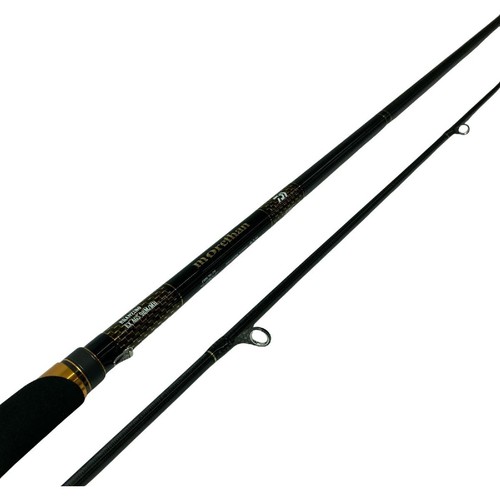 Daiwa morethan branzino ags - daiwa,