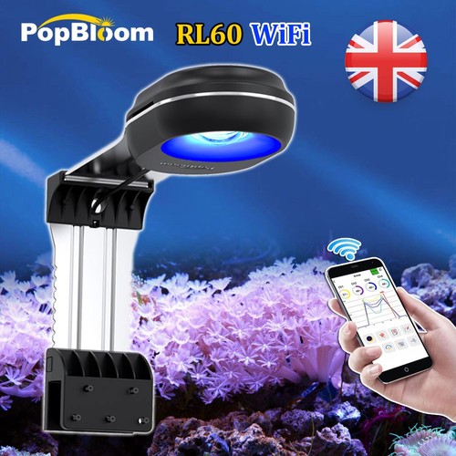 Popbloom rl60 led - w,