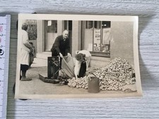  Foto vecchia zolle di Jena