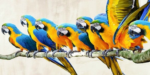 Quadro animale uccello gruppo - animale,