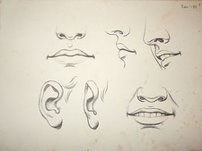 800-TAVOLA-DISEGNO-STUDIO DELLA FIGURA.TRATTI.VISO.-RITRATTO-TAV III