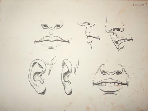 800-TAVOLA-DISEGNO-STUDIO