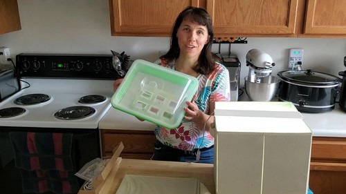 Microgreens kit - kit, di