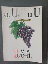 🍇 Tavola   U di UVA 🍇24x