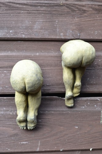 Pair cheeky bottoms bums - pair,