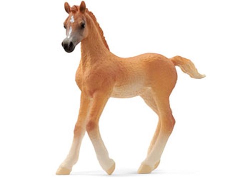 Puledro arabo schleich - -,