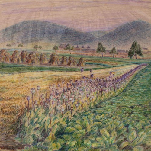 Martin krauss paesaggio campo - martin,