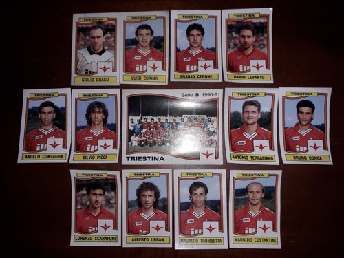 Lotto figurine panini - lotto,