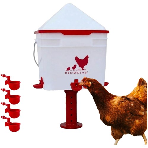 Irrigatore per pollo