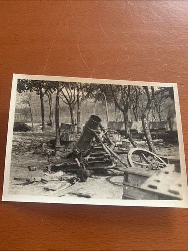 Grande guerra 1917 gorizia - guerra,