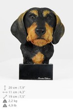 Bassotto a pelo duro -