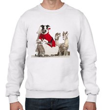 Cane Jack Russell Babbo Natale