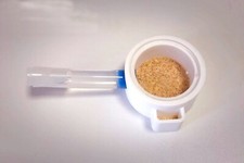 nuovo nido di formiche regina