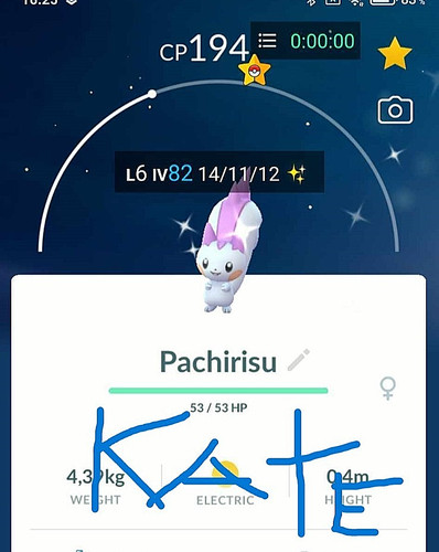 Pachirisu lucido p t - ✨,