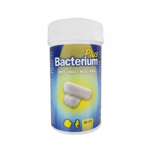 Bacterium plus attivatore - bacterium,