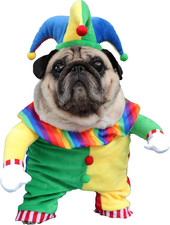 Costume per cani vestiti - per, –