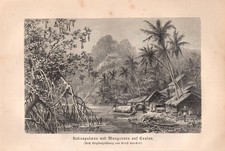 Stampa antica sri lanka ceylon - antica,