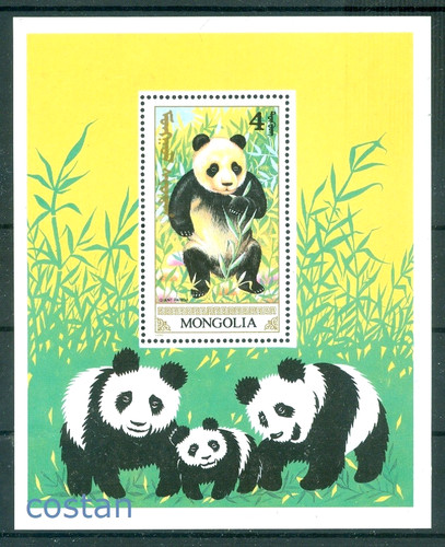 Orso panda gigante