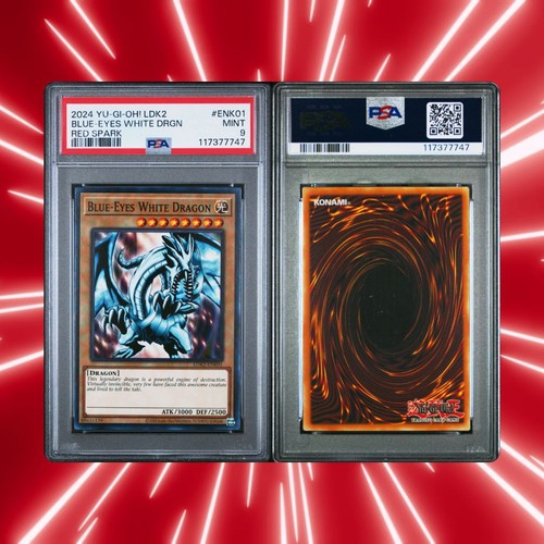 2024 drago bianco - yu-gi-oh,