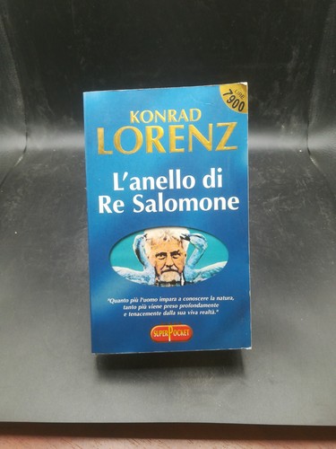 Anello salomone - l'anello,