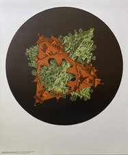 M. C. Escher (Dalì Warhol