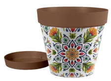 VASO PIANTE GRASSE FIORI SEMI