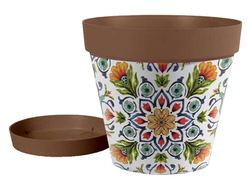 Vaso piante grasse fiori - piante,