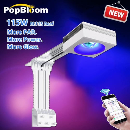 Popbloom rl115 lampada - popbloom, acqua