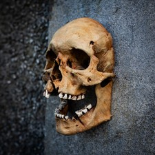 Human skull wall art - wall, handmade