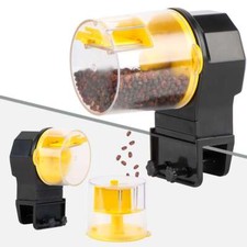 Mangiatoia Pesci Auto