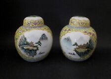 ✅ SPLENDIDA COPPIA VASI