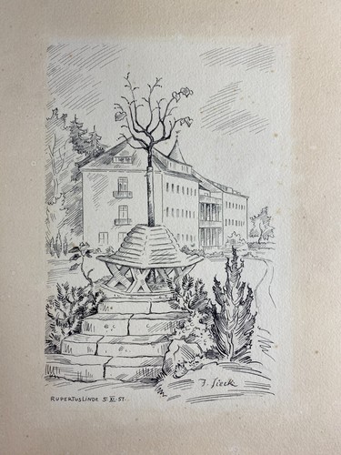 Acquaforte carta igienica - acquaforte,
