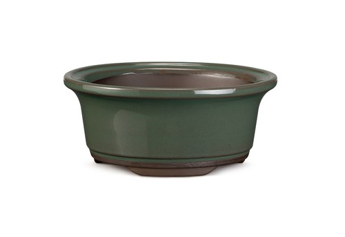 Certrè vaso per bonsai - certrè,