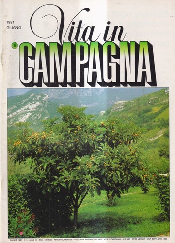 Vita campagna giugno - campagna,