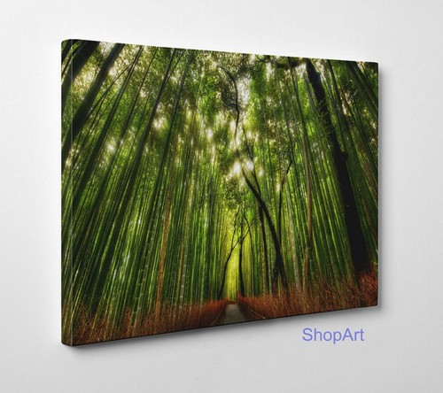 Quadro foresta di bambù - foresta,