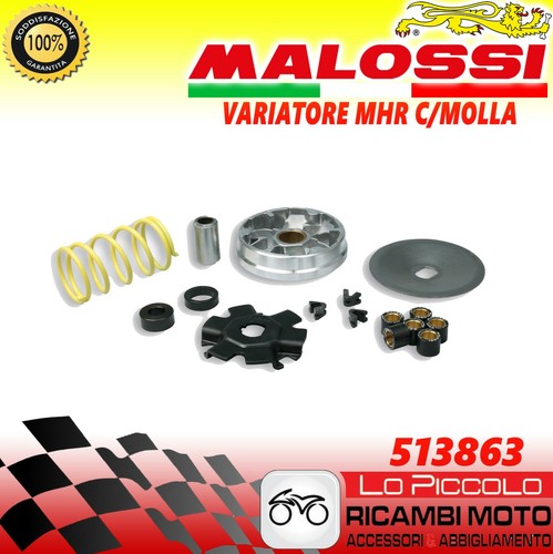 513863 malossi variatore - 513863,