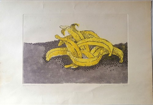 Artista non riconosciuto - riconosciuto,