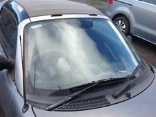 COPPIA BRACCI TERGICRISTALLO