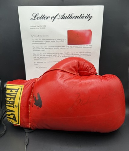 Guantone boxe firmato - guantone,