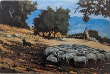 IL CANE PASTORE - Remo Branca, Cartolina