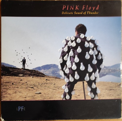 Pink floyd delicate - delicate, sound