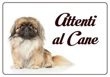 PECHINESE TARGA ATTENTI AL