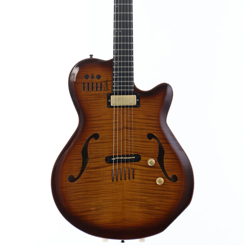 Chitarra acustica usata godin - chitarra,