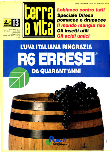 Terra vita n 13 - e, n°