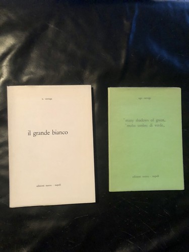 Grande bianco molte - grande,