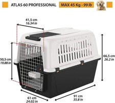 Kennel cane - kennel,