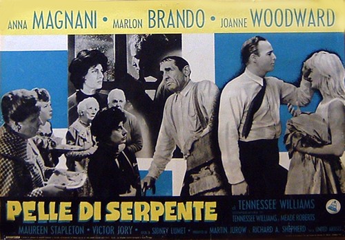 Pelle serpente fotobusta - pelle,