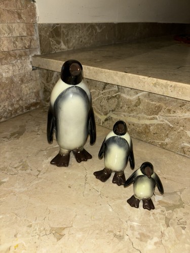 Rari pinguini antichi - pinguini,