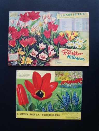 Due cataloghi tulipani - tulipani, bakker